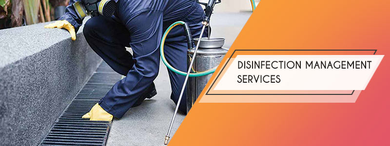 disinfection management